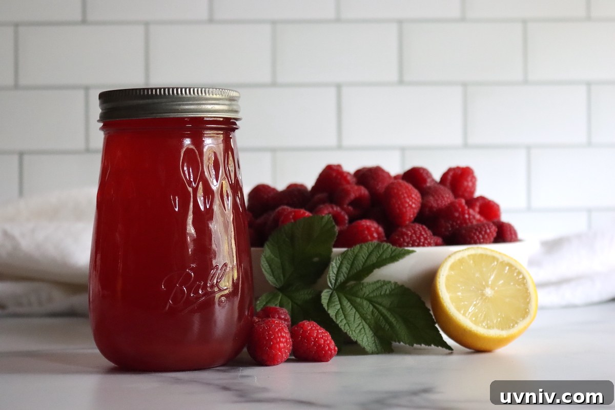16+ Lemonade Concentrate Recipes for Canning and Preserving 12 Canning Raspberry Lemonade Concentrate