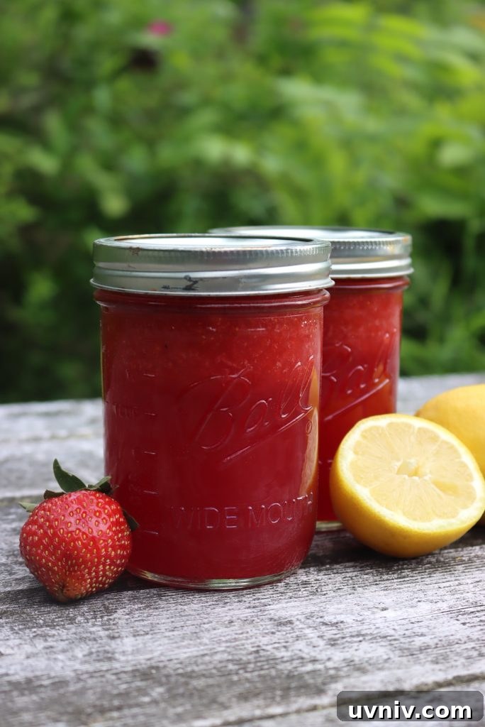 16+ Lemonade Concentrate Recipes for Canning and Preserving 14 img 36394 13