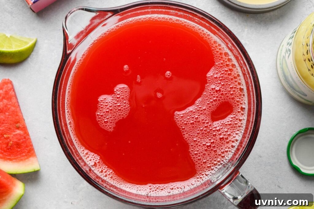 16+ Lemonade Concentrate Recipes for Canning and Preserving 15 Watermelon Lemonade