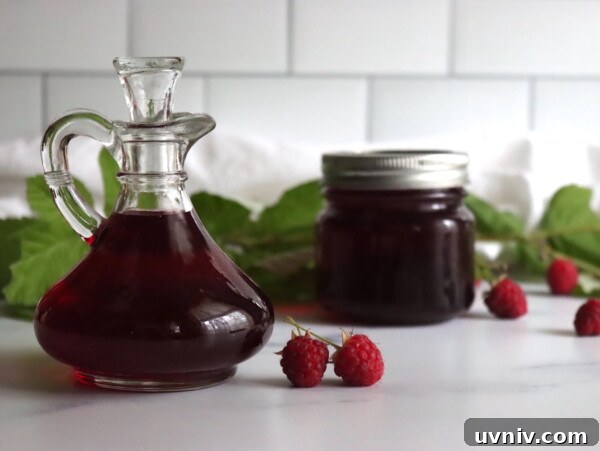 16+ Lemonade Concentrate Recipes for Canning and Preserving 18 Raspberry Syrup