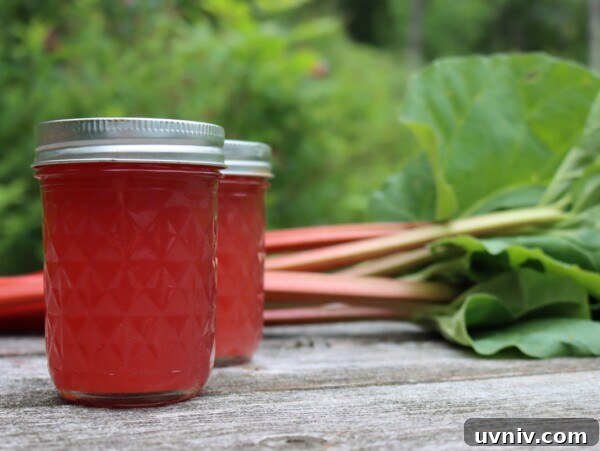 16+ Lemonade Concentrate Recipes for Canning and Preserving 19 Canning Rhubarb Juice