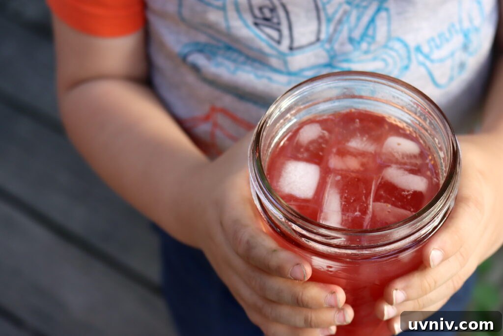 16+ Lemonade Concentrate Recipes for Canning and Preserving 3 Making Strawberry Lemonade Concentrate