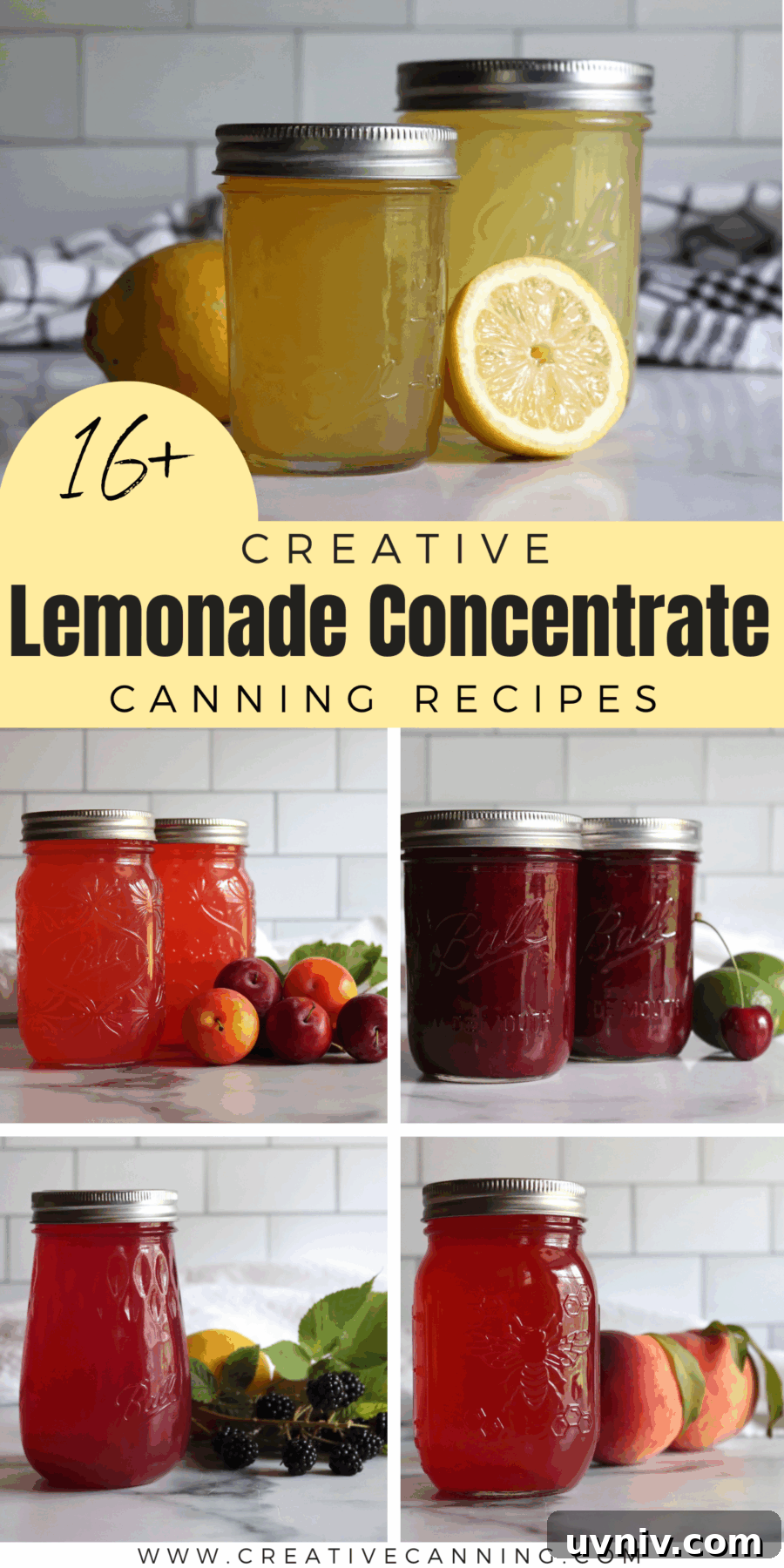 16+ Lemonade Concentrate Recipes for Canning and Preserving 22 Canning Recipes for Lemonade Concentrate