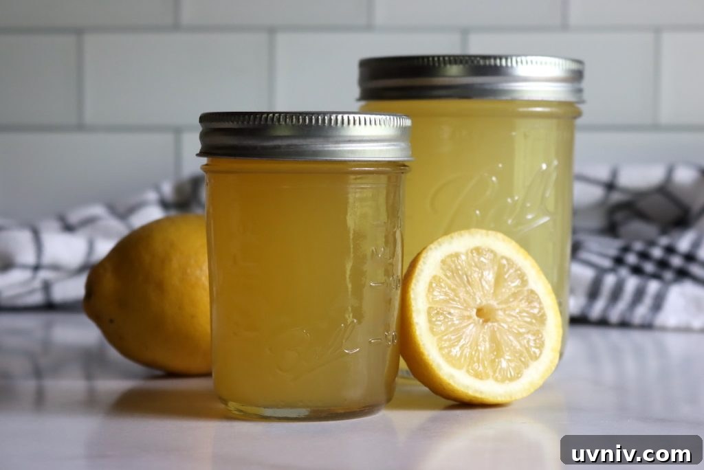 16+ Lemonade Concentrate Recipes for Canning and Preserving 4 canning lemonade concentrate