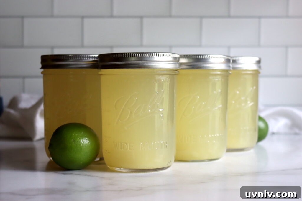 16+ Lemonade Concentrate Recipes for Canning and Preserving 5 Canning Limeade