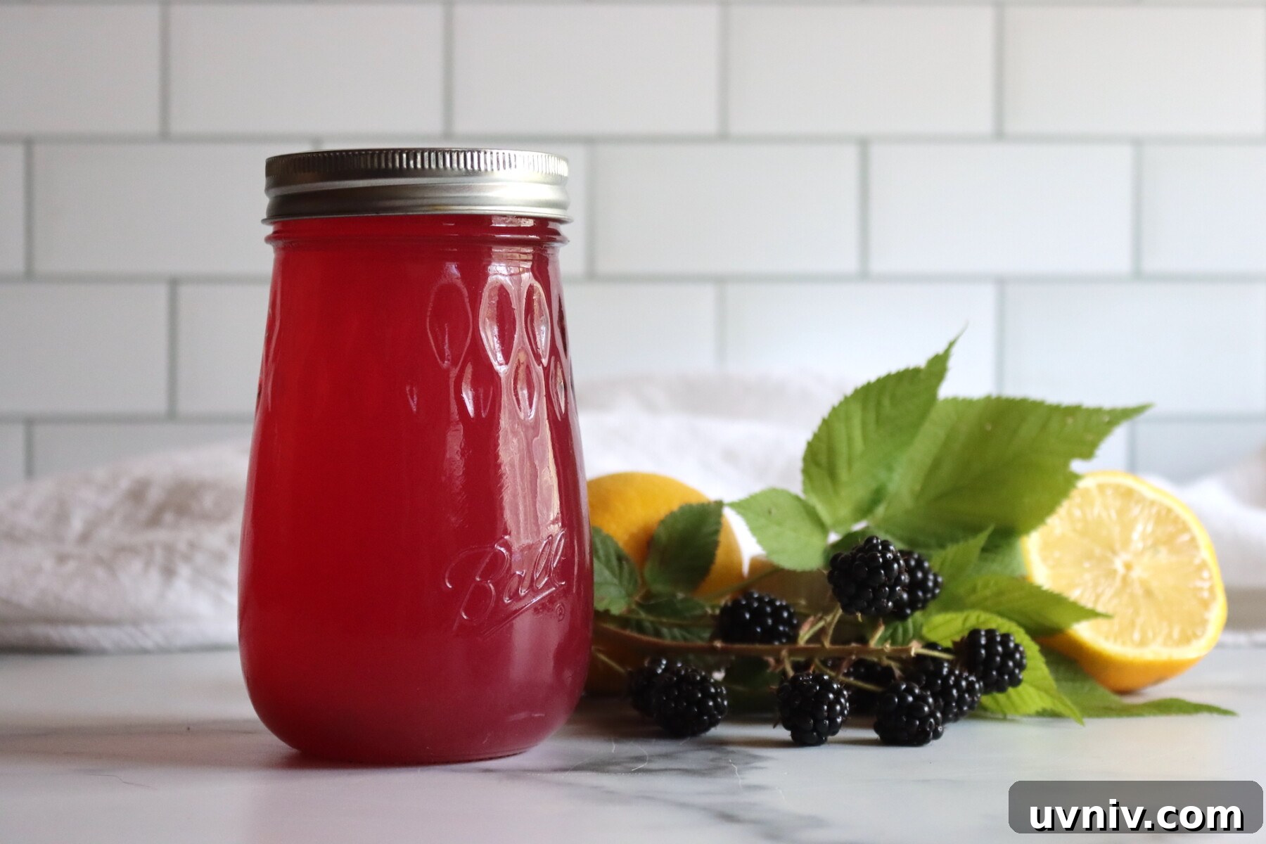 16+ Lemonade Concentrate Recipes for Canning and Preserving 6 Blackberry Lemonade Concentrate