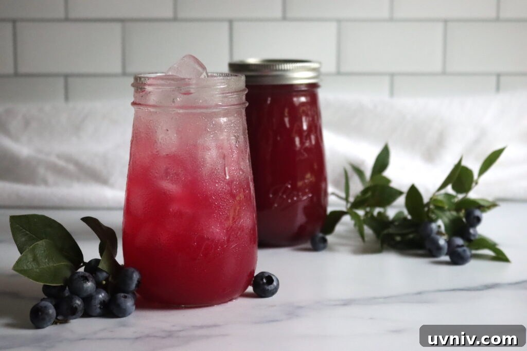 16+ Lemonade Concentrate Recipes for Canning and Preserving 7 Blueberry Lemonade Concentrate