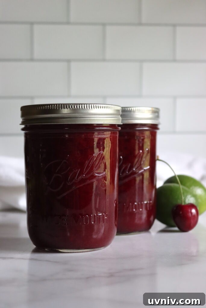 16+ Lemonade Concentrate Recipes for Canning and Preserving 8 Cherry Limeade Concentrate