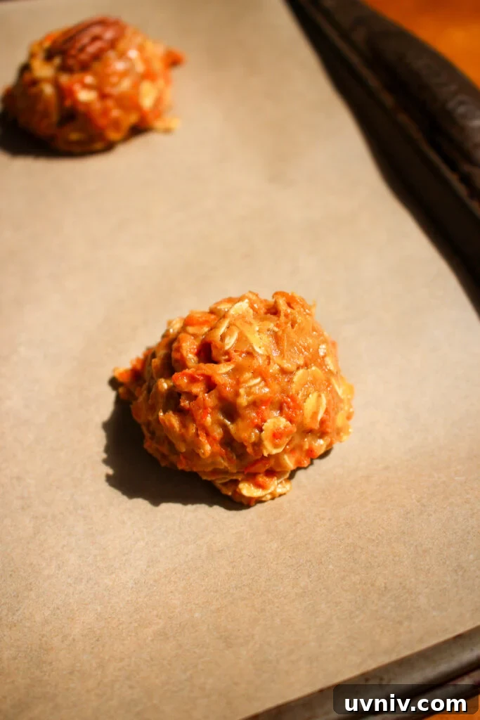 Carrot, Oatmeal & Pecan Cookies — Soft Spiced Cookie Recipe 12 Cookies ready to bake