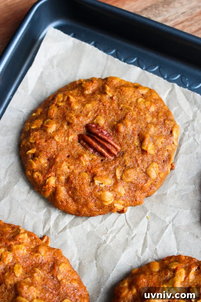 Carrot, Oatmeal & Pecan Cookies — Soft Spiced Cookie Recipe 15 Shredded carrots on towel