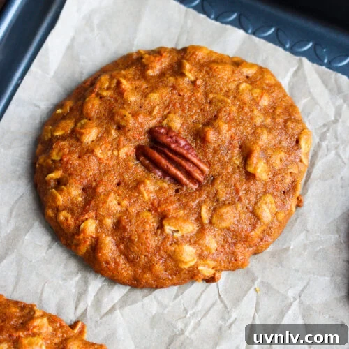 Carrot, Oatmeal & Pecan Cookies — Soft Spiced Cookie Recipe 16 Recipe image