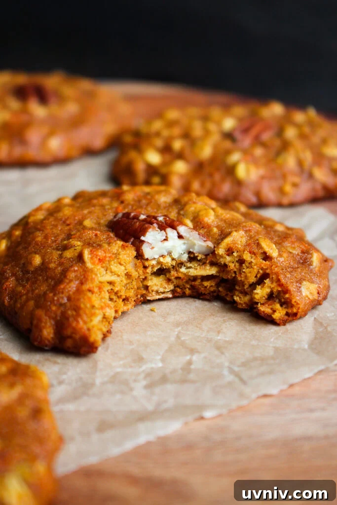 Carrot, Oatmeal & Pecan Cookies — Soft Spiced Cookie Recipe 3 Cookies on tray