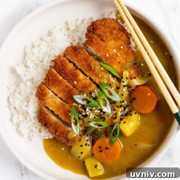 A top down view of a plate of pork katsu curry over rice.