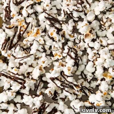 Chocolate Drizzle Popcorn Recipe: Sweet, Crunchy Movie Treat 9 A close-up photo of chocolate drizzle