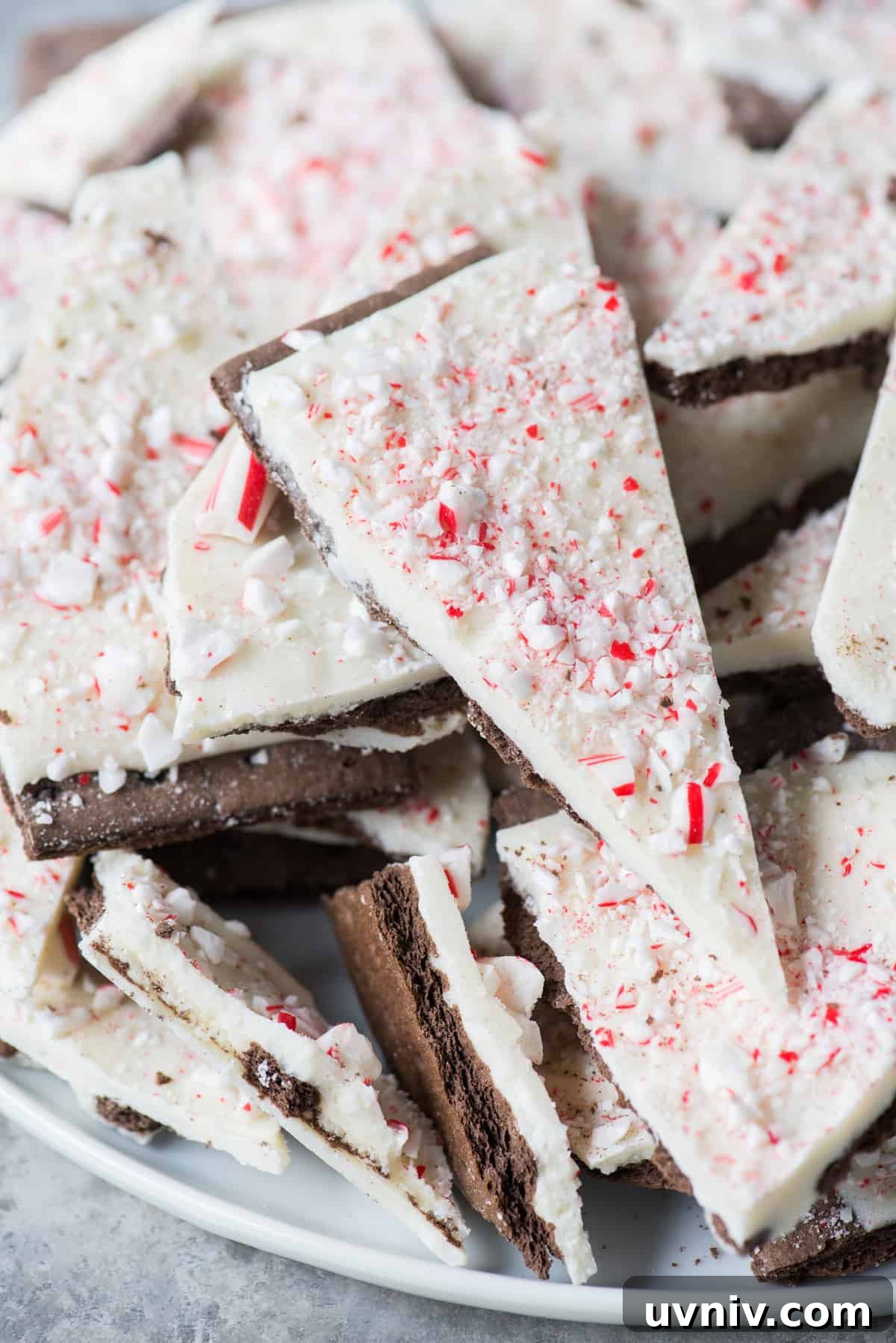 Chocolate Peppermint Bark Recipe for Holidays & Gift Giving 2 pieces of chocolate peppermint bark on a white plate