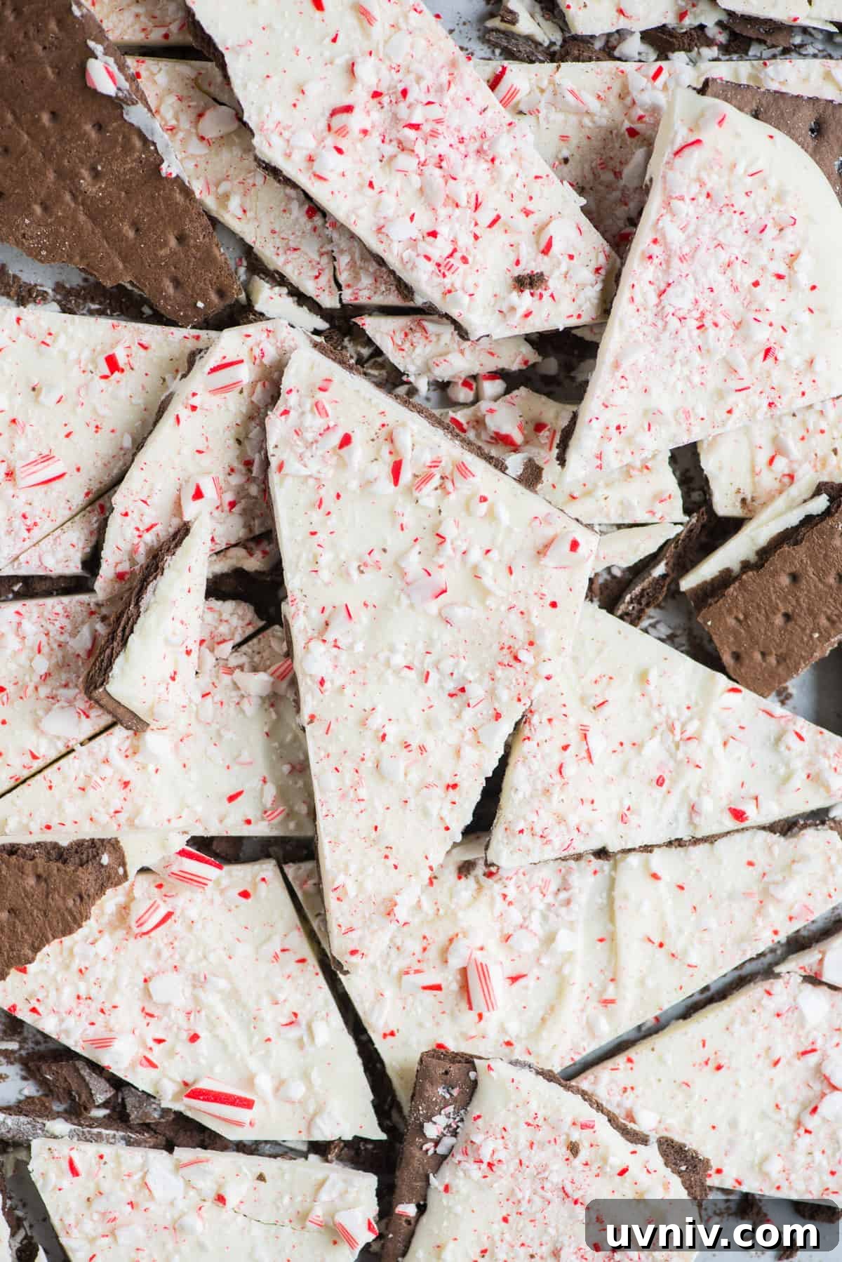 Chocolate Peppermint Bark Recipe for Holidays & Gift Giving 9 pieces of chocolate peppermint bark on a white plate