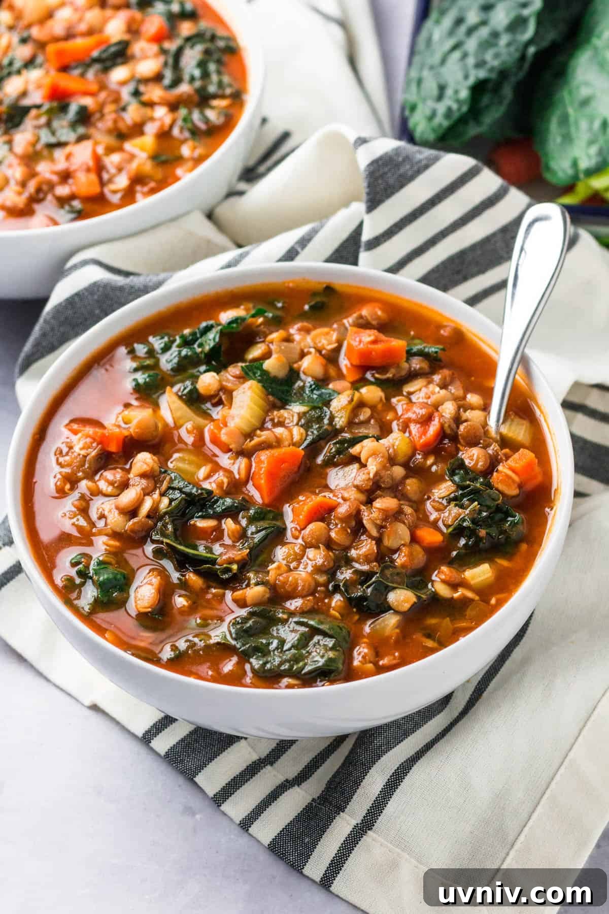 Hearty Lentil and Kale Soup Recipe for Cozy Weeknight Meals 2 a bowl of lentil and kale sitting sitting on a tabletop
