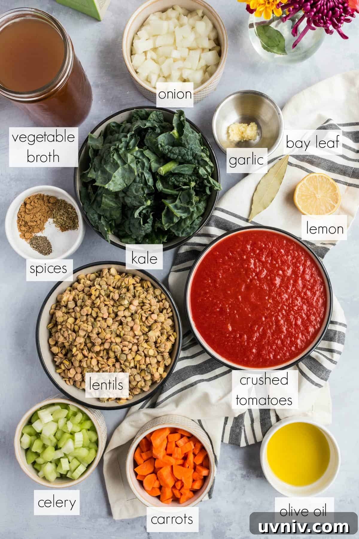 Hearty Lentil and Kale Soup Recipe for Cozy Weeknight Meals 3 all of the ingredients for lentil and kale soup on a tabletop