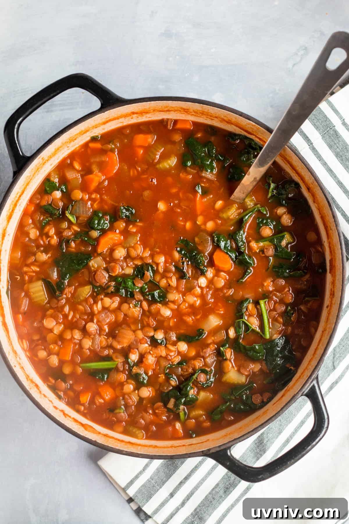 Hearty Lentil and Kale Soup Recipe for Cozy Weeknight Meals 5 a pot filled with lentil soup
