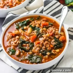 Hearty Lentil and Kale Soup Recipe for Cozy Weeknight Meals 6 a bowl of lentil and kale sitting sitting on a tabletop