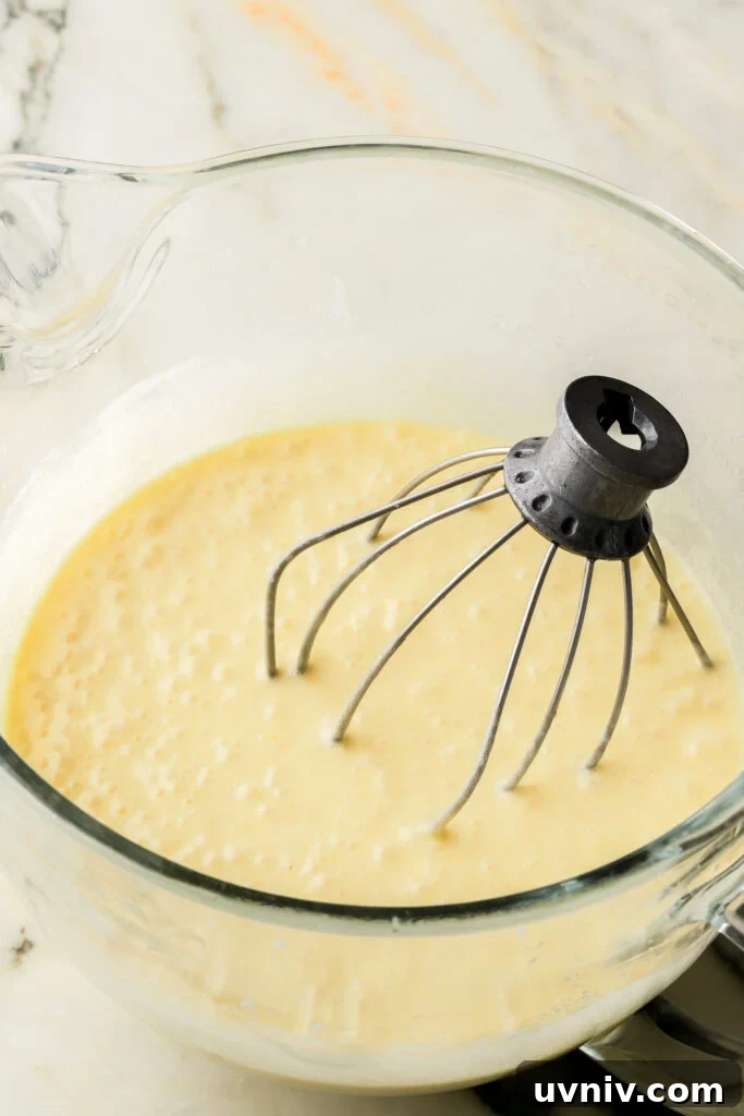 Party-Size Vanilla Birthday Sheet Cake Recipe 8 cake batter in glass bowl with whisk attachment - sour cream mixed into batter