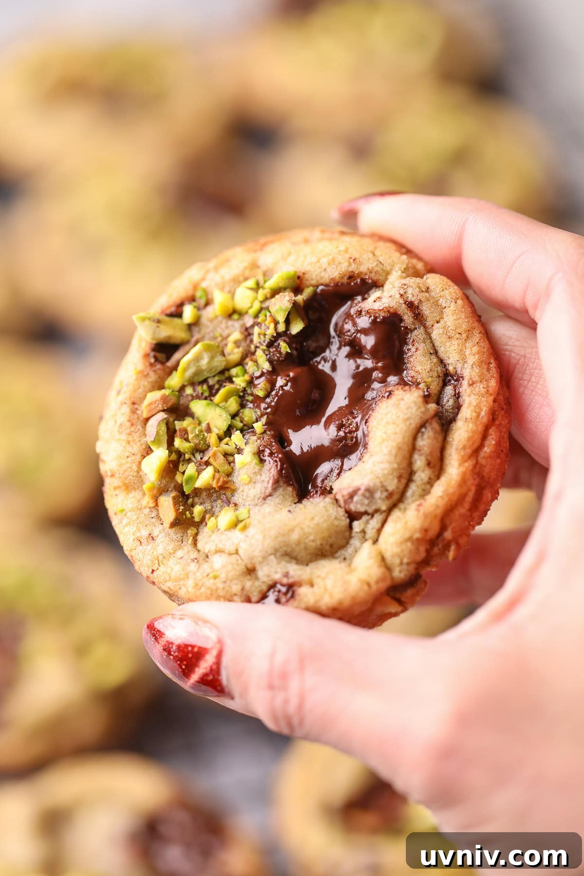 Brown Butter Pistachio Chocolate Chip Cookies Recipe 11 Brown butter pistachio chocolate chip cookie held in hand.