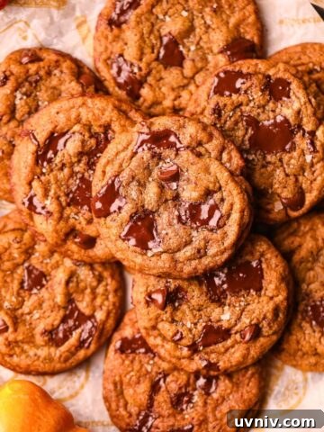 Brown butter pumpkin chocolate chip cookies.