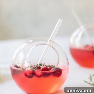 Cranberry and Thyme Gin & Tonic Recipe for Holiday Cocktails 11 img 41375 10
