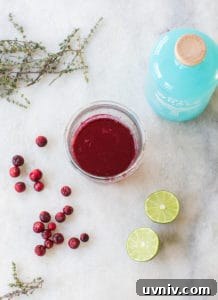 Cranberry and Thyme Gin & Tonic Recipe for Holiday Cocktails 13 img 41375 13