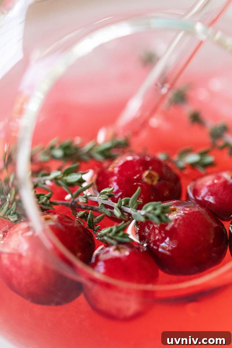 Cranberry and Thyme Gin & Tonic Recipe for Holiday Cocktails 7 close up photo of a cranberry thyme gin and tonic