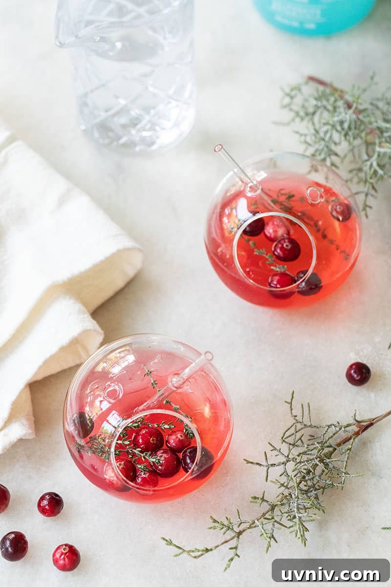 Cranberry and Thyme Gin & Tonic Recipe for Holiday Cocktails 10 Gin and Tonics for Christmas