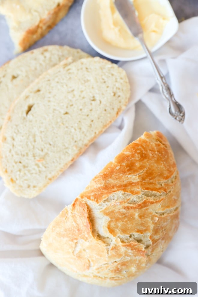 No-Knead Overnight Bread Recipe for Perfect Rustic Loaves 11 Overhead image of artisan loaf