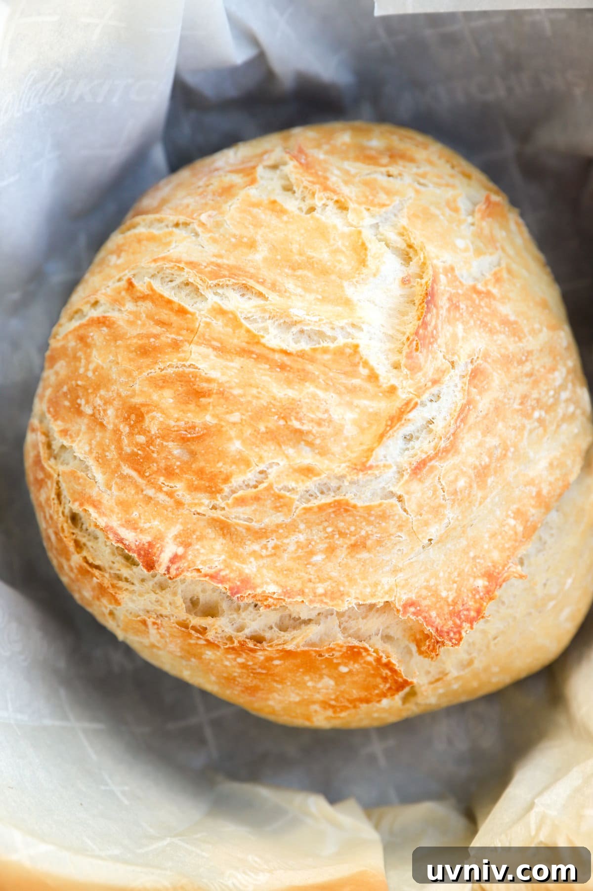 No-Knead Overnight Bread Recipe for Perfect Rustic Loaves 13 Bread in a dutch oven after baking picture