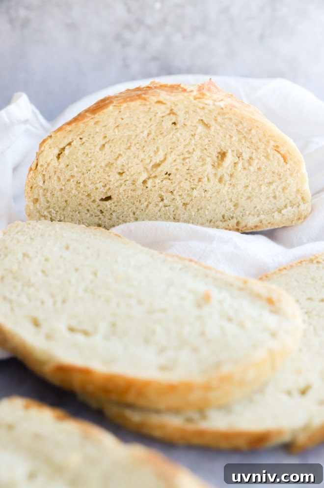 No-Knead Overnight Bread Recipe for Perfect Rustic Loaves 3 Sliced pieces of overnight no knead bread picture