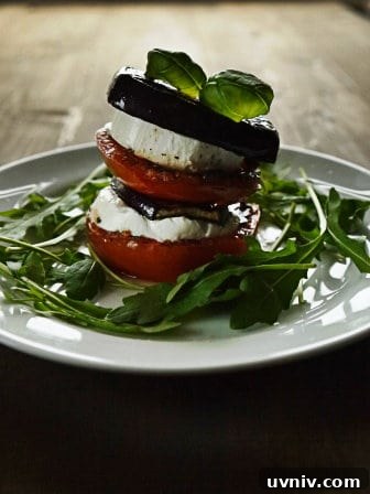 Griddled Baby Eggplant and Goat Cheese Stacks with Balsamic Glaze 2 Aubergine & Goats Cheese Tower