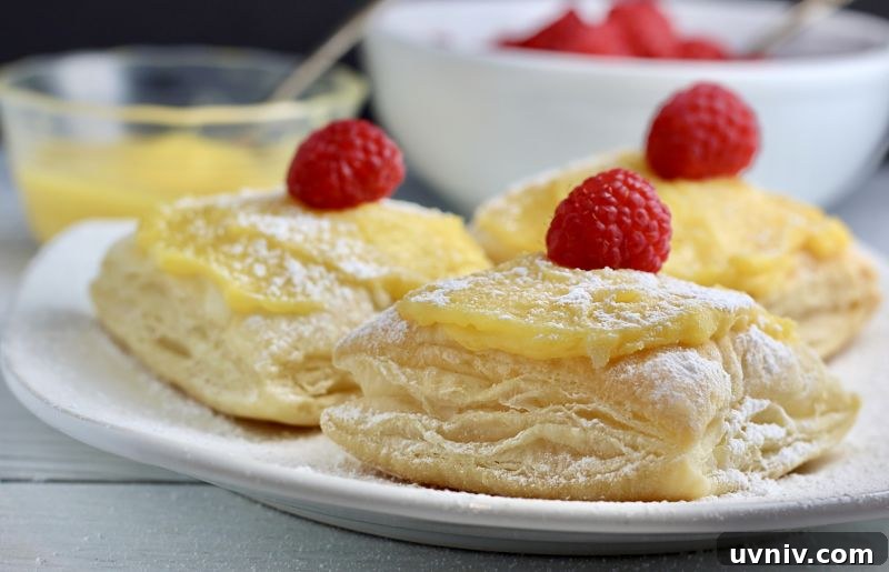 Lemon Raspberry Puff Pastries (Dairy-Free Recipe) 2 dairy-free lemon raspberry puffs