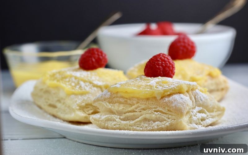 Lemon Raspberry Puff Pastries (Dairy-Free Recipe) 3 dairy-free lemon raspberry puffs