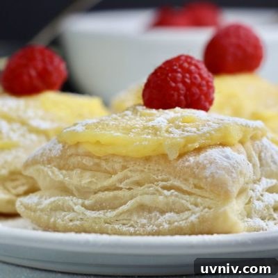 Lemon Raspberry Puff Pastries (Dairy-Free Recipe) 7 dairy-free lemon raspberry puffs