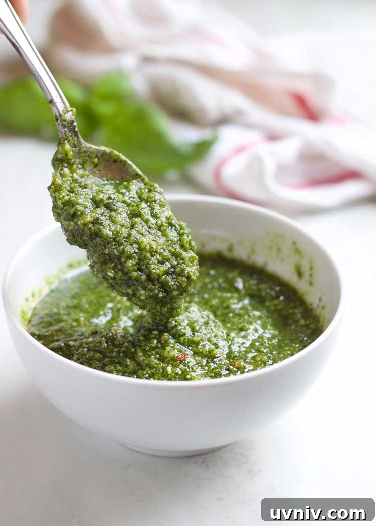fresh walnut pesto fresh walnut pesto - Walnut Crusted Pesto Salmon