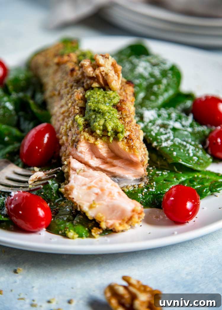 Walnut Crusted Pesto Salmon Walnut Crusted Pesto Salmon