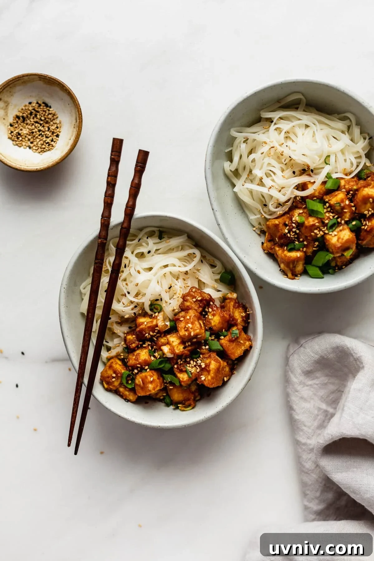 Crispy Baked Peanut Butter Tofu with Sticky Soy Glaze 9 two bowls of peanut butter tofu and rice noodles.