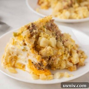 23+ Breakfast Casserole Recipes for Make-Ahead Mornings 25 img 49596 24