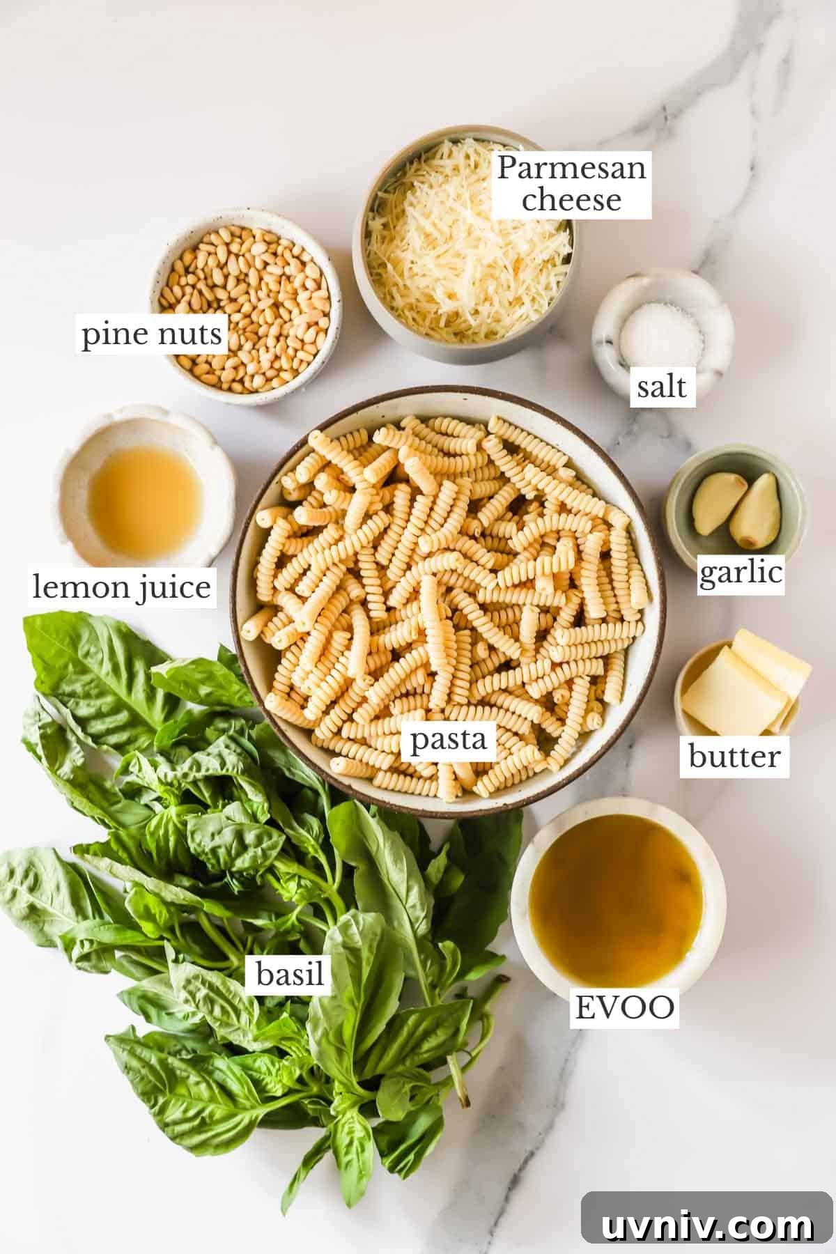 Creamy Basil Pesto Pasta Recipe for Quick Weeknight Meals 4 Ingredients to make basil pesto pasta.