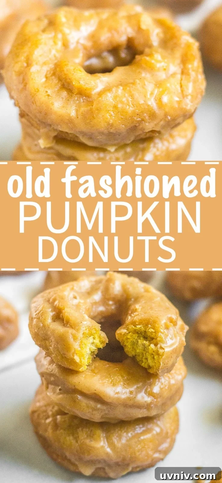 Get ready for these homemade old fashioned pumpkin donuts! They're cake like, filled with pumpkin spice and melt in your mouth. The sour cream and pumpkin puree make for a tasty breakfast recipe. Read more to learn how to make old fashioned pumpkin donuts!