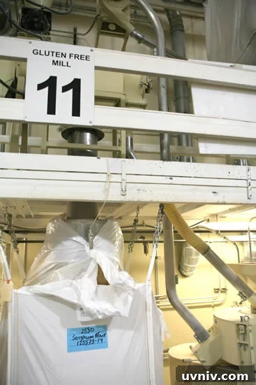 Milling Sorghum Flour Milling Sorghum Flour