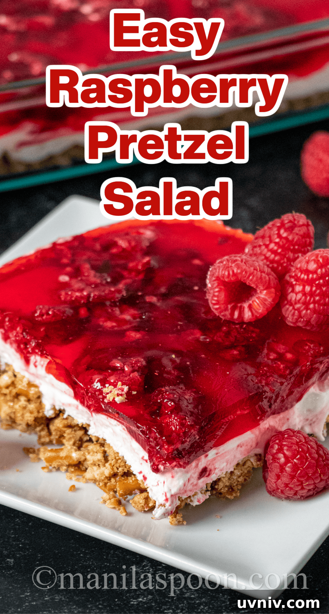 Raspberry Pretzel Salad Recipe with Creamy Filling and Crunch 5 Pretzel salad serving