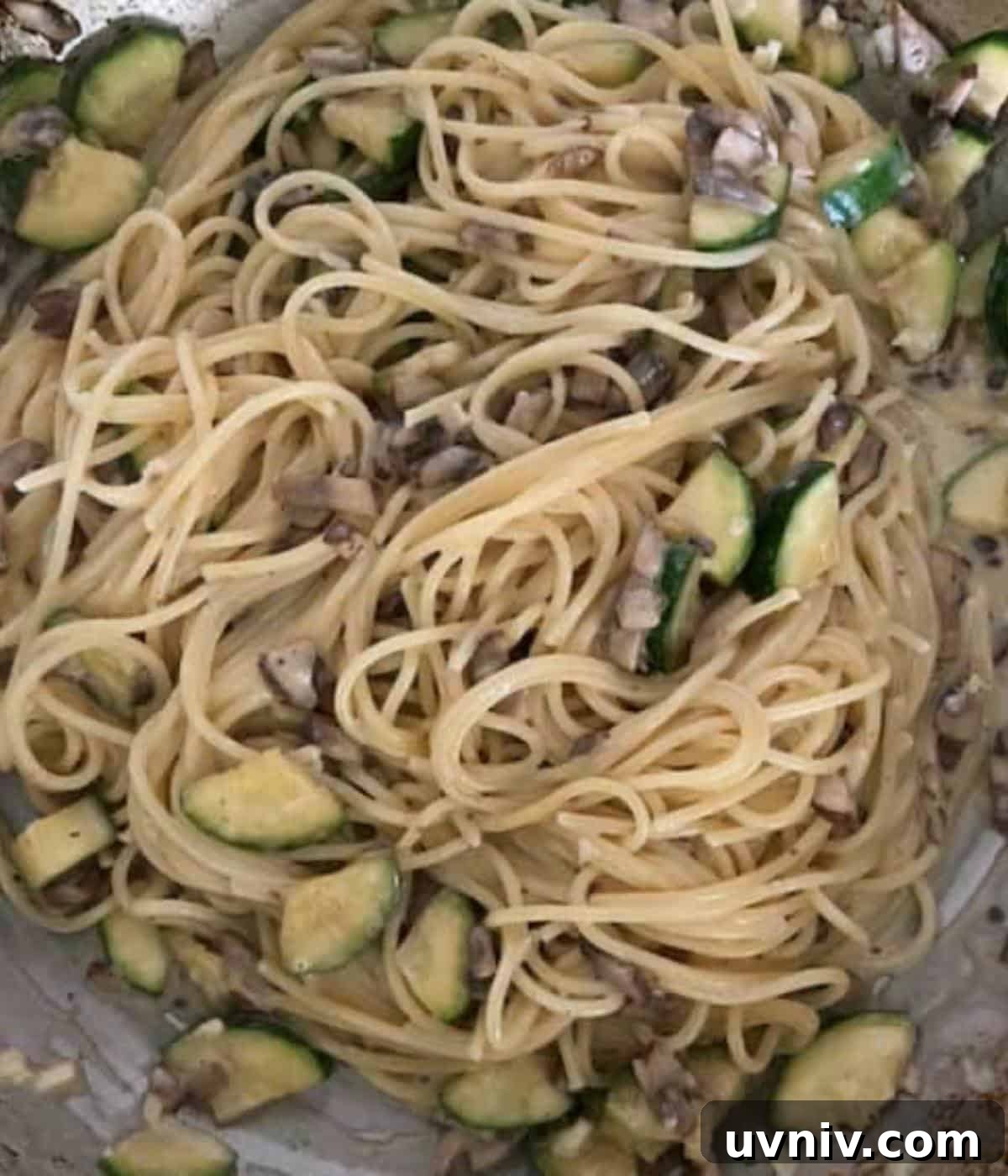 Pasta tossed in cream sauce with zucchini and mushroom.
