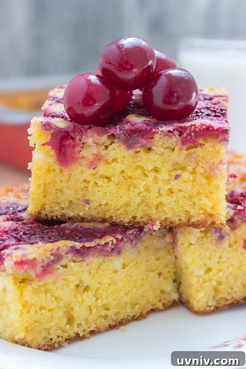 Moist, tender and full of corn flavor Sour Cherry Chia Jam Cornbread made with all HEALTH ingredients, refined sugar-free, wholesome and it's moderate in calories. Perfect for BBQ, holiday table or any celebration. #glutenfree #sugarfree #healthy #kidsfriendly #lowcalorie #whole30 #weightloss #bbq #summer #dessert #holiday #chia #cherry | natalieshealth.com