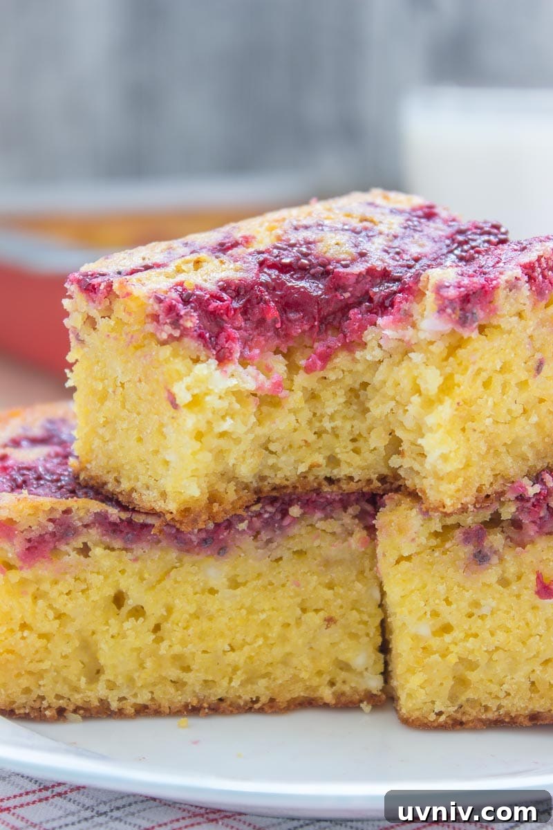 Moist, tender and full of corn flavor Sour Cherry Chia Jam Cornbread made with all HEALTH ingredients, refined sugar-free, wholesome and it's moderate in calories. Perfect for BBQ, holiday table or any celebration. #glutenfree #sugarfree #healthy #kidsfriendly #lowcalorie #whole30 #weightloss #bbq #summer #dessert #holiday #chia #cherry | natalieshealth.com