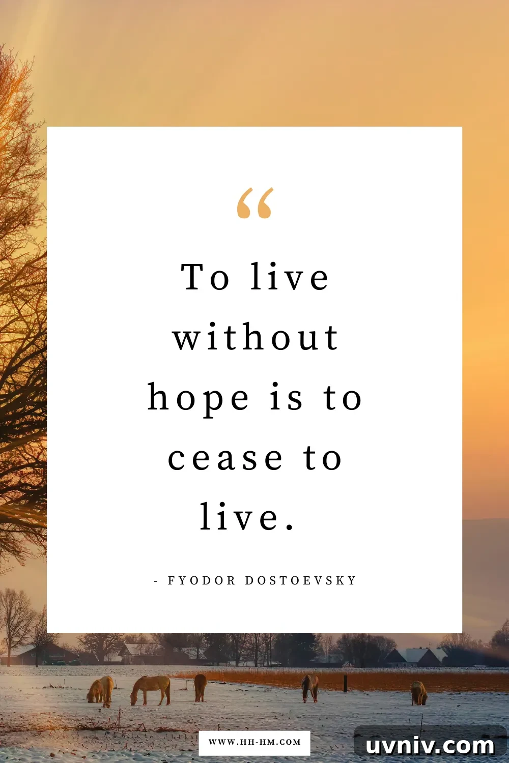 170+ Short Inspirational Quotes About Life for Daily Motivation 12 "To live without hope is to cease to live." ― Fyodor Dostoevsky | Life Quotes
